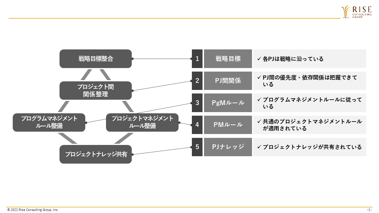 図1：プログラムマネジメントの5つの実現目標