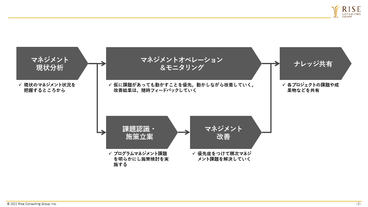 図2：プログラムマネジメントの5つのアプローチ